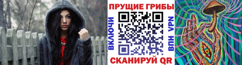 мега ТОР  Нефтегорск  Псилоцибиновые грибы мицелий  купить  